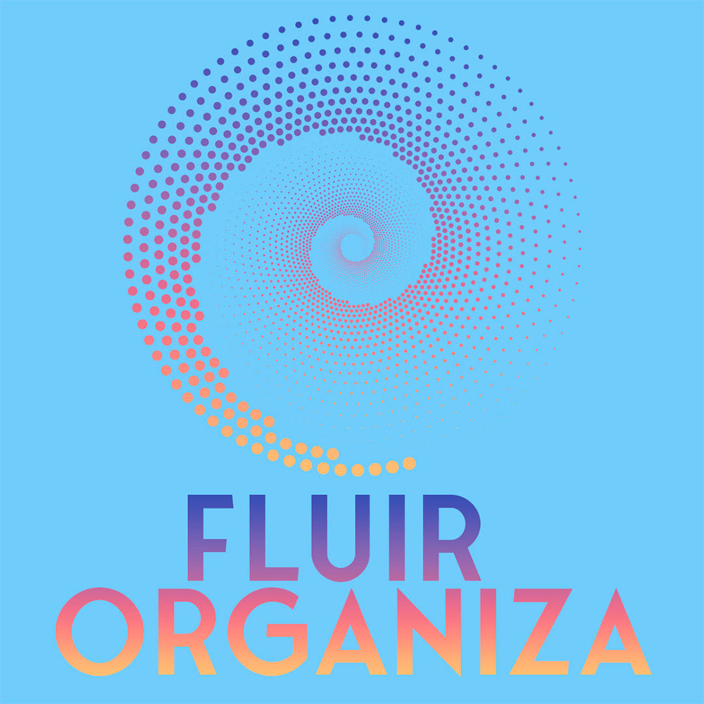 Fluir Organiza