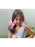 Laço de Organza Delicado Daminhas Noivas Casamento