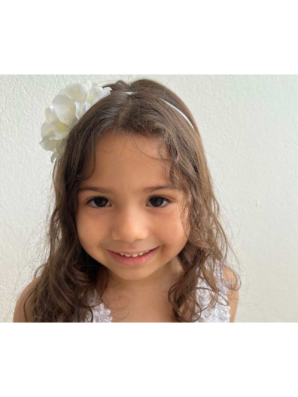 Tiara Infantil Flores Hortências Arquinho Arranjo De Cabelo