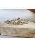 Coroa Flores e Galhos Strass Brilho Noiva Festa Casamento