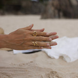 ANEL ABSTRATO ABERTO REGULÁVEL