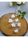 Kit 6 Grampos de Flor Noiva SilFlores