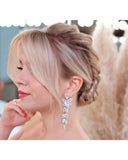 Brinco Fançy Narcisa Acessórios