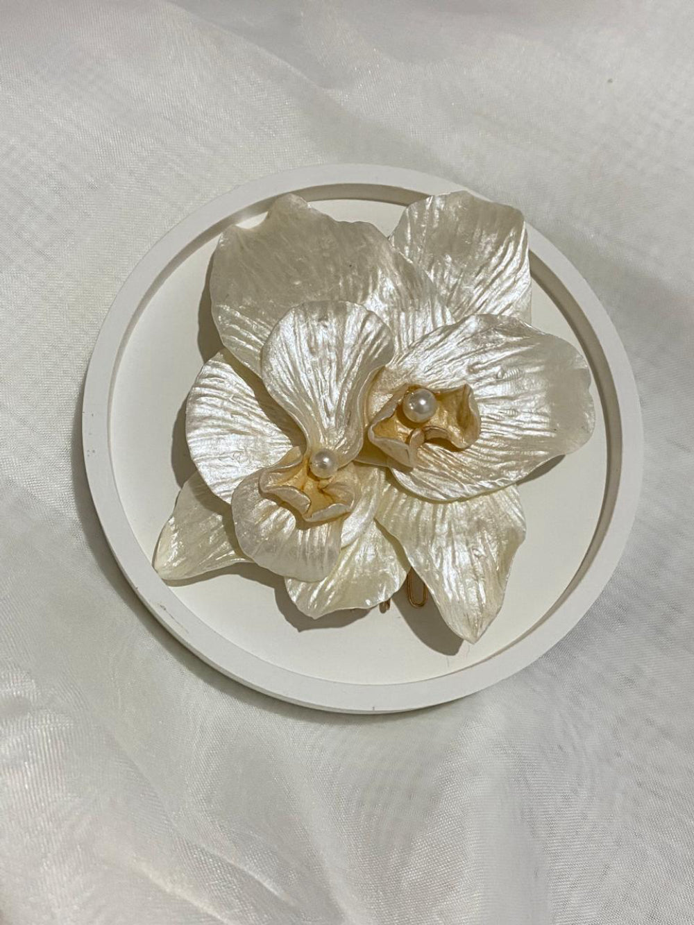 Orquídea grande Fiancee