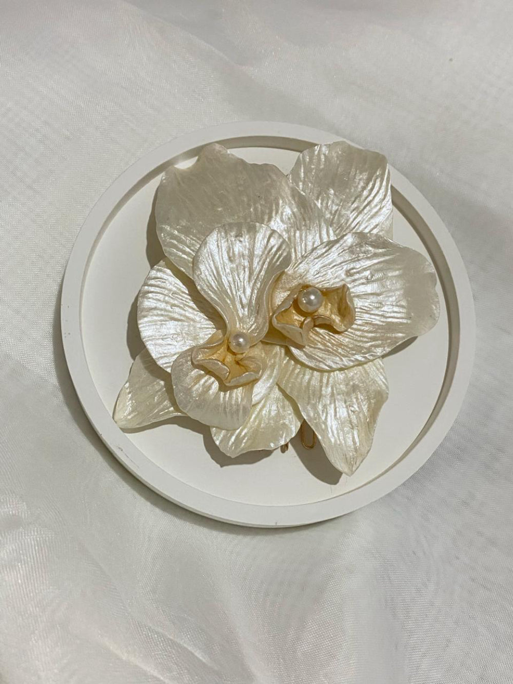 Orquídea grande Fiancee